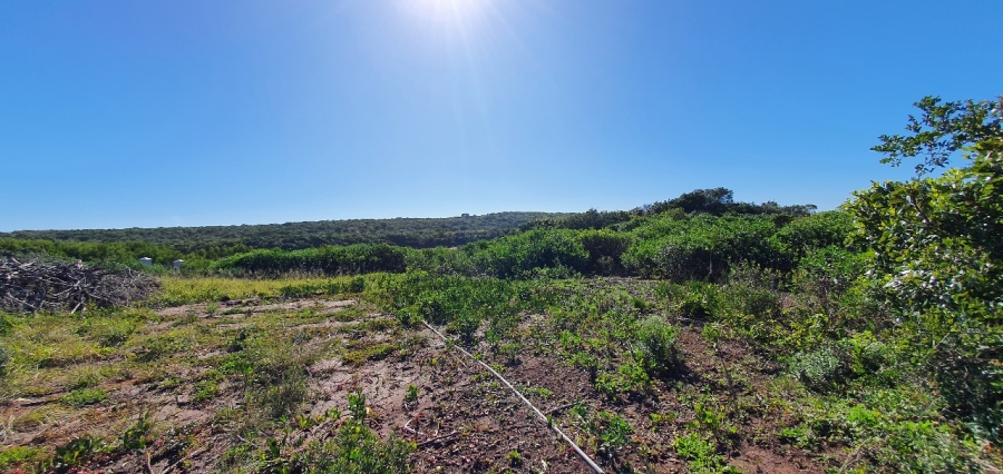 0 Bedroom Property for Sale in Paradise Beach Eastern Cape
